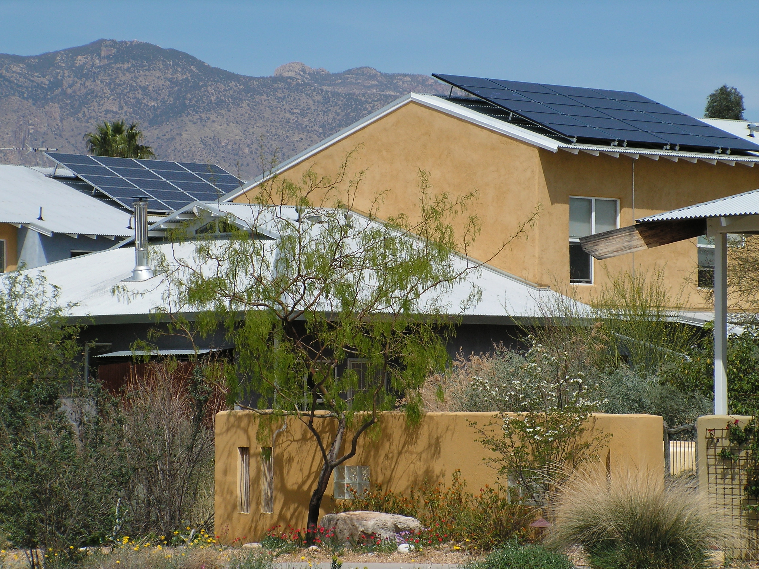 Preserve Chino's natural flowers with clean energy and solar panels