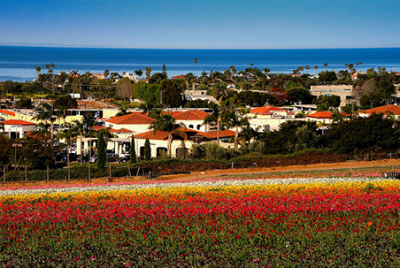 Best Solar Company in Carlsbad