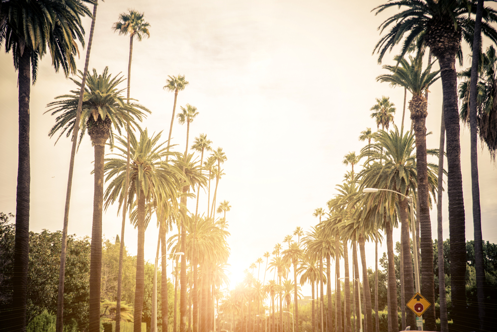 Solar-Power-in-Los-Angeles-sun